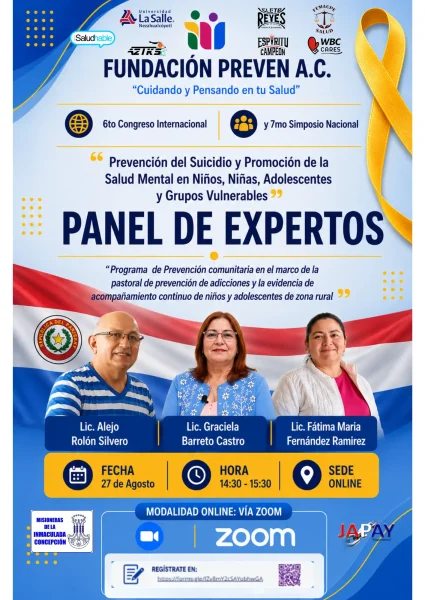 6PANEL DE EXPERTOS PARAGUAY